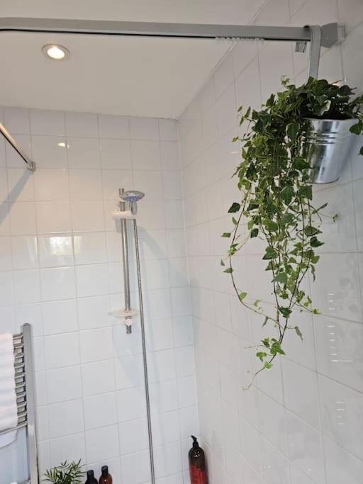 Cosy And Quiet One Bedroom Thames Flat Londra